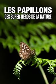 Primary photo for Butterflies: Superheroes of Nature