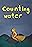 Counting Water