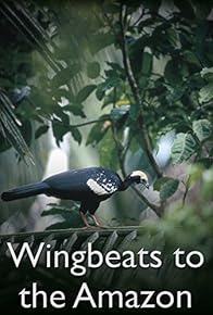 Primary photo for Wingbeats of the Amazon