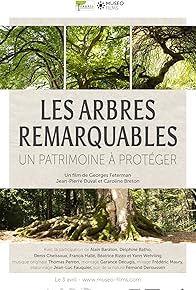 Primary photo for Les arbres remarquables - Un patrimoine à protéger