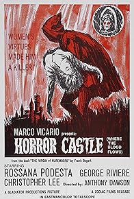 Primary photo for Horror Castle