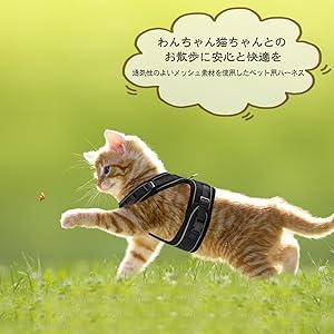 猫 猫用 ハーネス 胴輪  猫具 ねこ ネコ 子猫 子犬 小型犬 犬猫兼用 超小型犬 猫はーねす 抜けない ソフト胸あて 夜反射 通気メッシュ 黒い