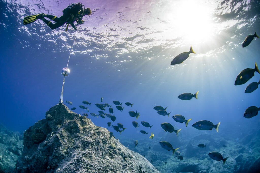 Surveying coral reefs Pitcairn Islands