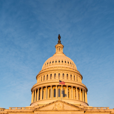 The U.S. Capitol dome is lit by the morning sun