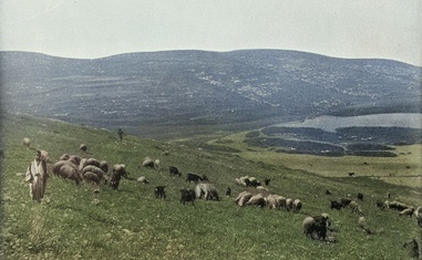 Adasíyyih: A Baha’i Village Becomes a Model Farming Community