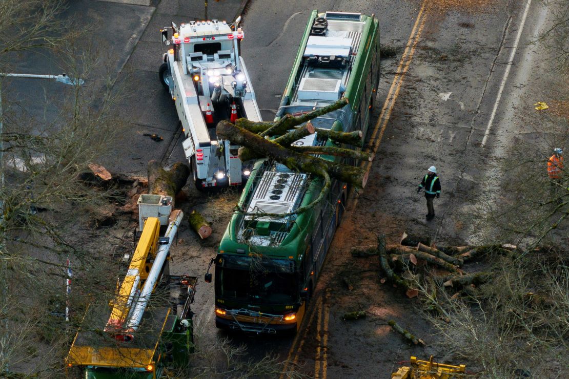 Crews work to remove a fallen tree from a bus after a powerful storm hit the Pacific Northwest and western Canada.