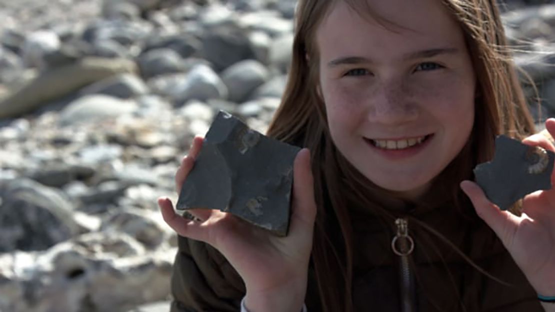 Evie Swire founded "Mary Anning Rocks," a campaign to honor Anning by erecting a statue in her hometown of Lyme Regis in the UK.