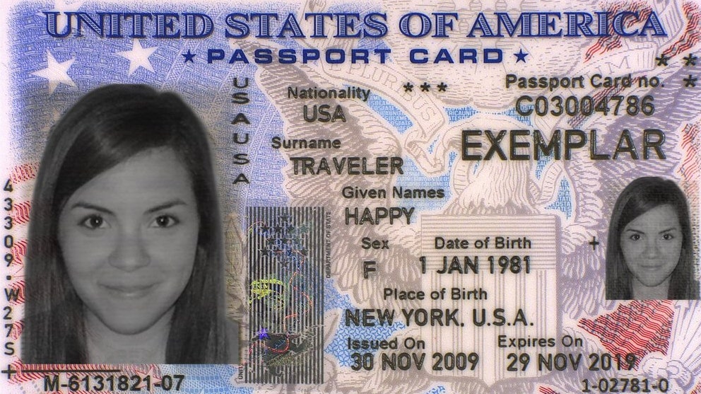 Image may contain Text Human Person Document Id Cards License and Driving License