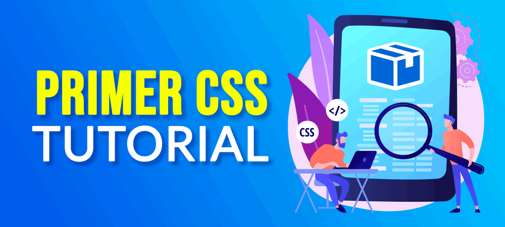 Primer CSS