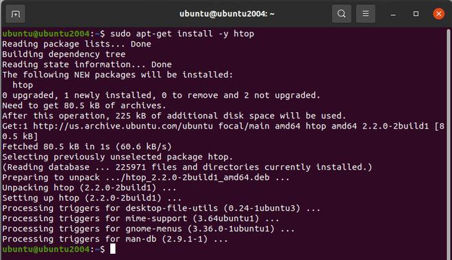 How to Install and Use Htop on Linux