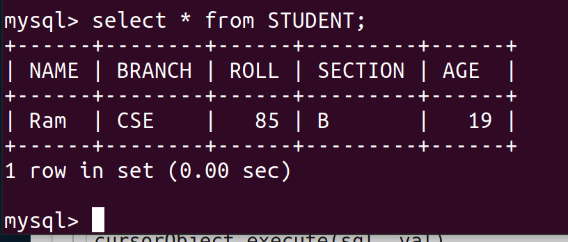 insert 1 row in mysql database using Python