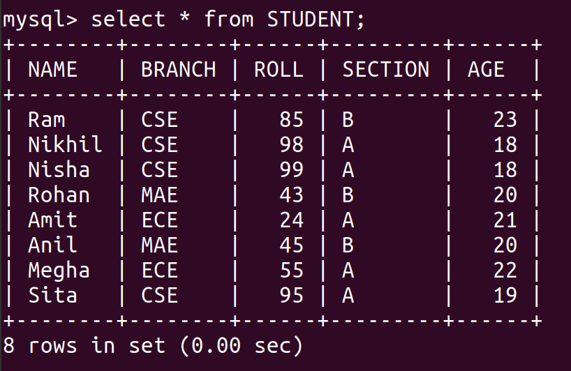 python mysql update table