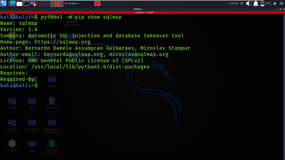 Verifying-sqlmap-package-installation