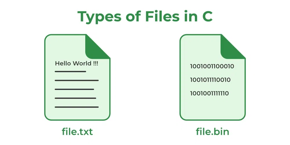 types of files in c