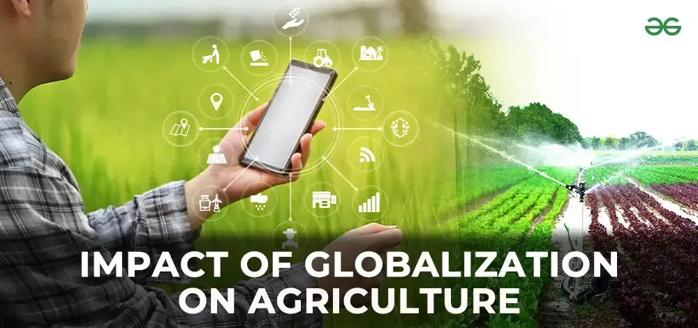 Impact of Globalization on Agriculture