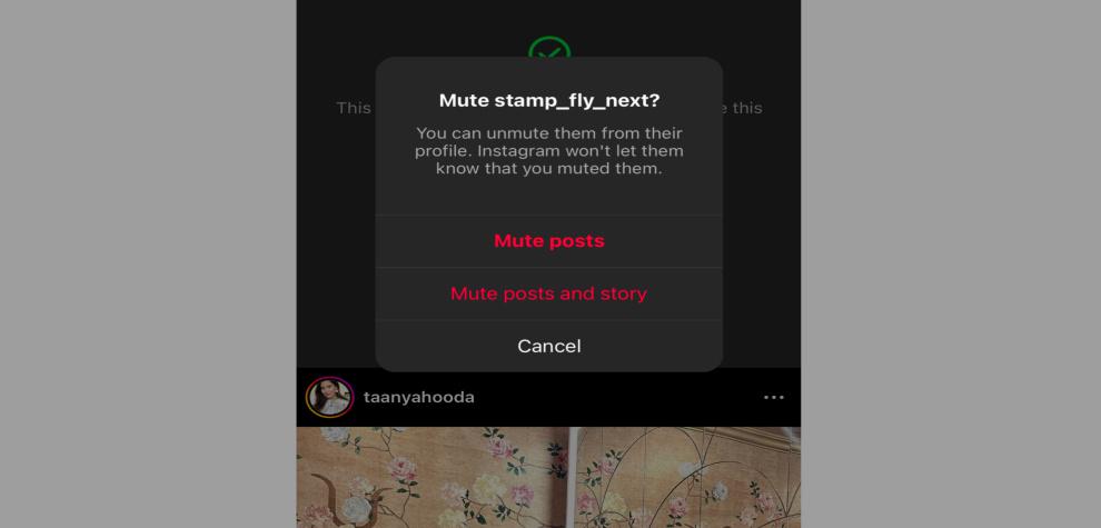 Mute Posts and Stories