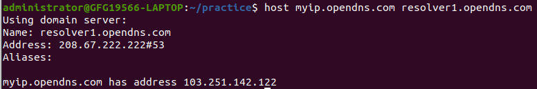 Using host with dns.google to Find Your IP Address in Linux