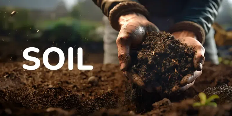 Soil