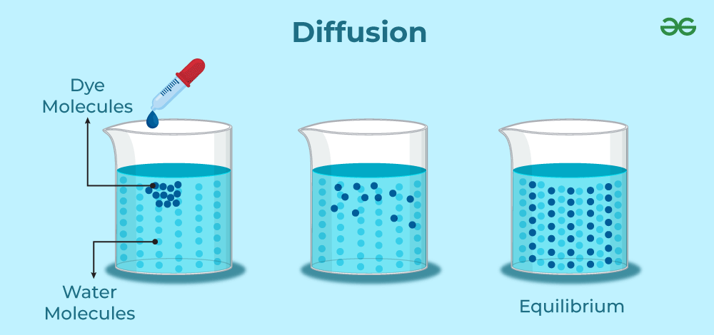 Diffusion