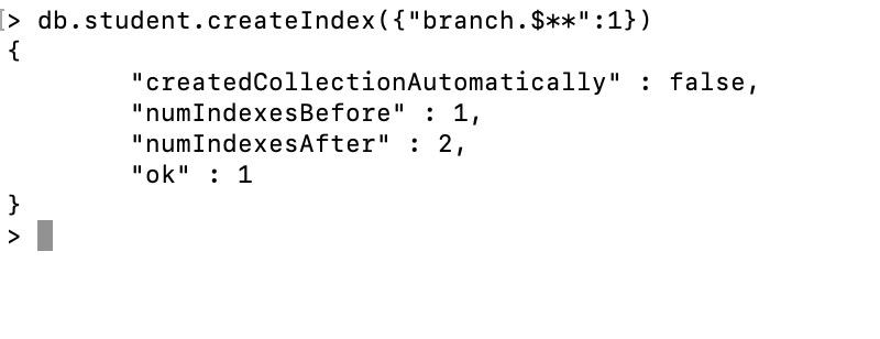 wildcard-index