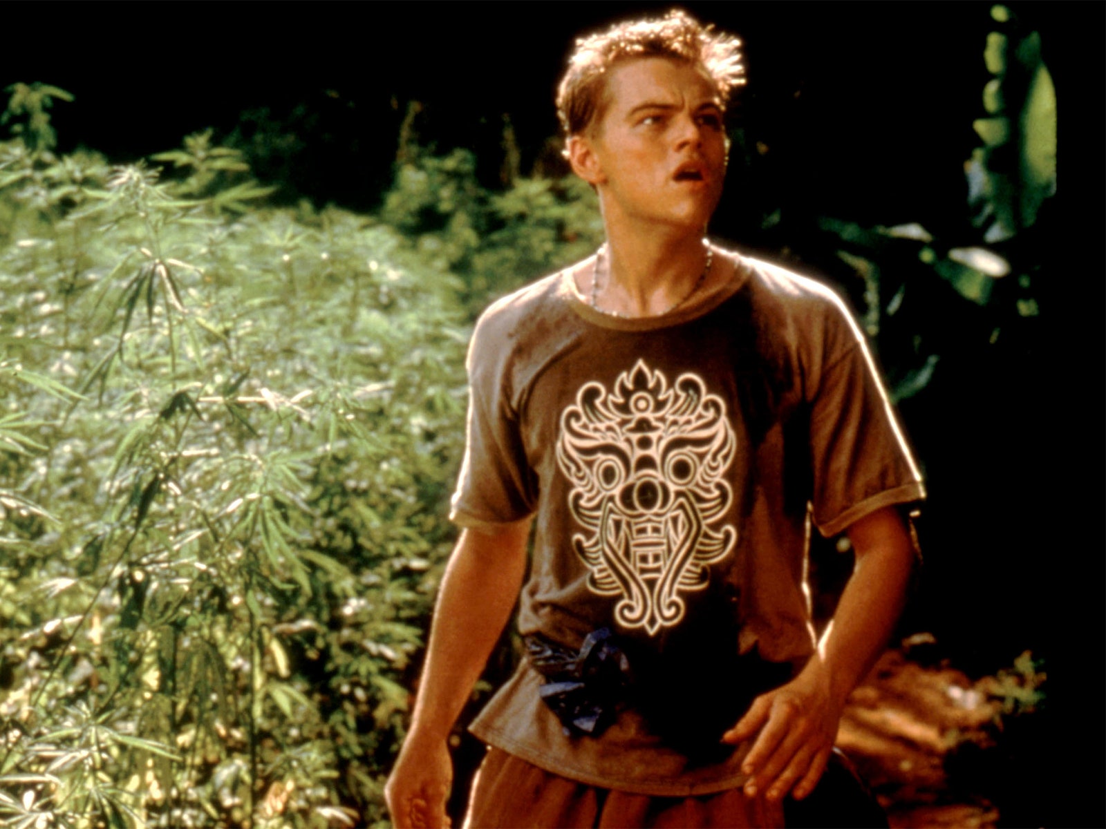 Image may contain Leonardo DiCaprio Clothing TShirt Sleeve Person Teen Accessories Jewelry Necklace and Plant