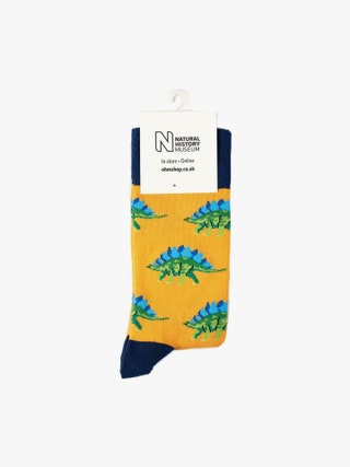 Best Gifts for Dads chosen for British GQ by Jessie Atkinson Stegosaurus Socks