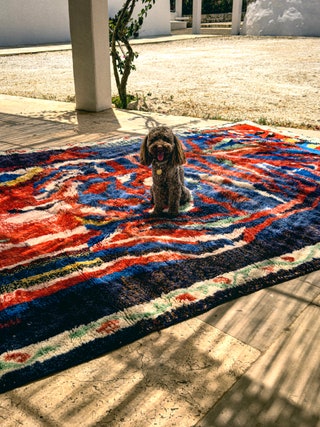 Image may contain Home Decor Animal Canine Dog Mammal Pet Puppy and Rug