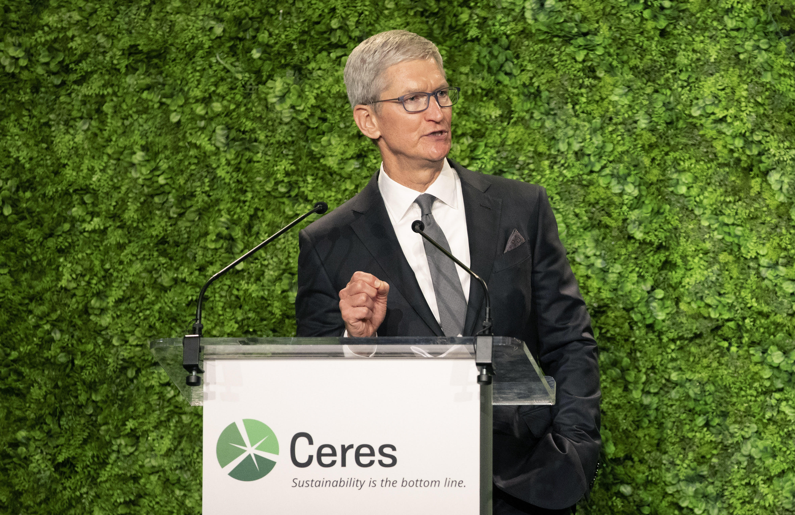 apple ceo tim cook accepting sustainability award from Ceres