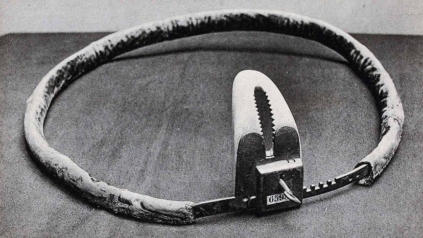 chastity belt