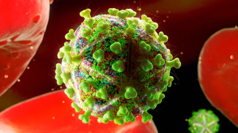 HIV virus particle