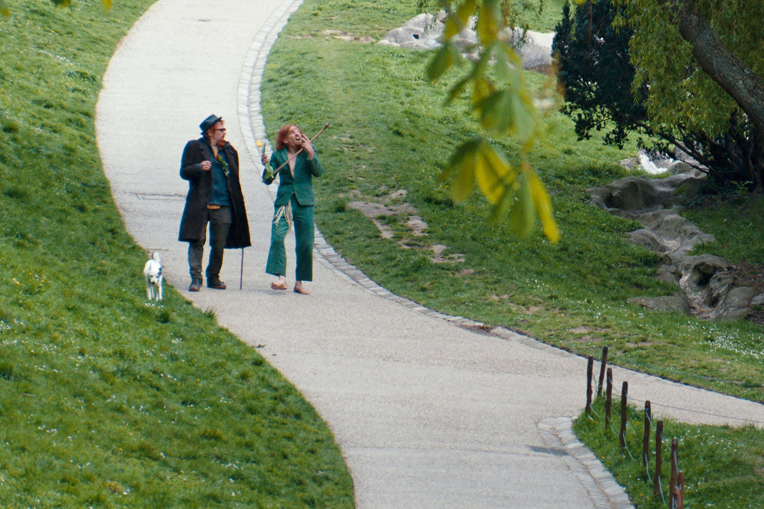 Two people and a dog walk in a park.