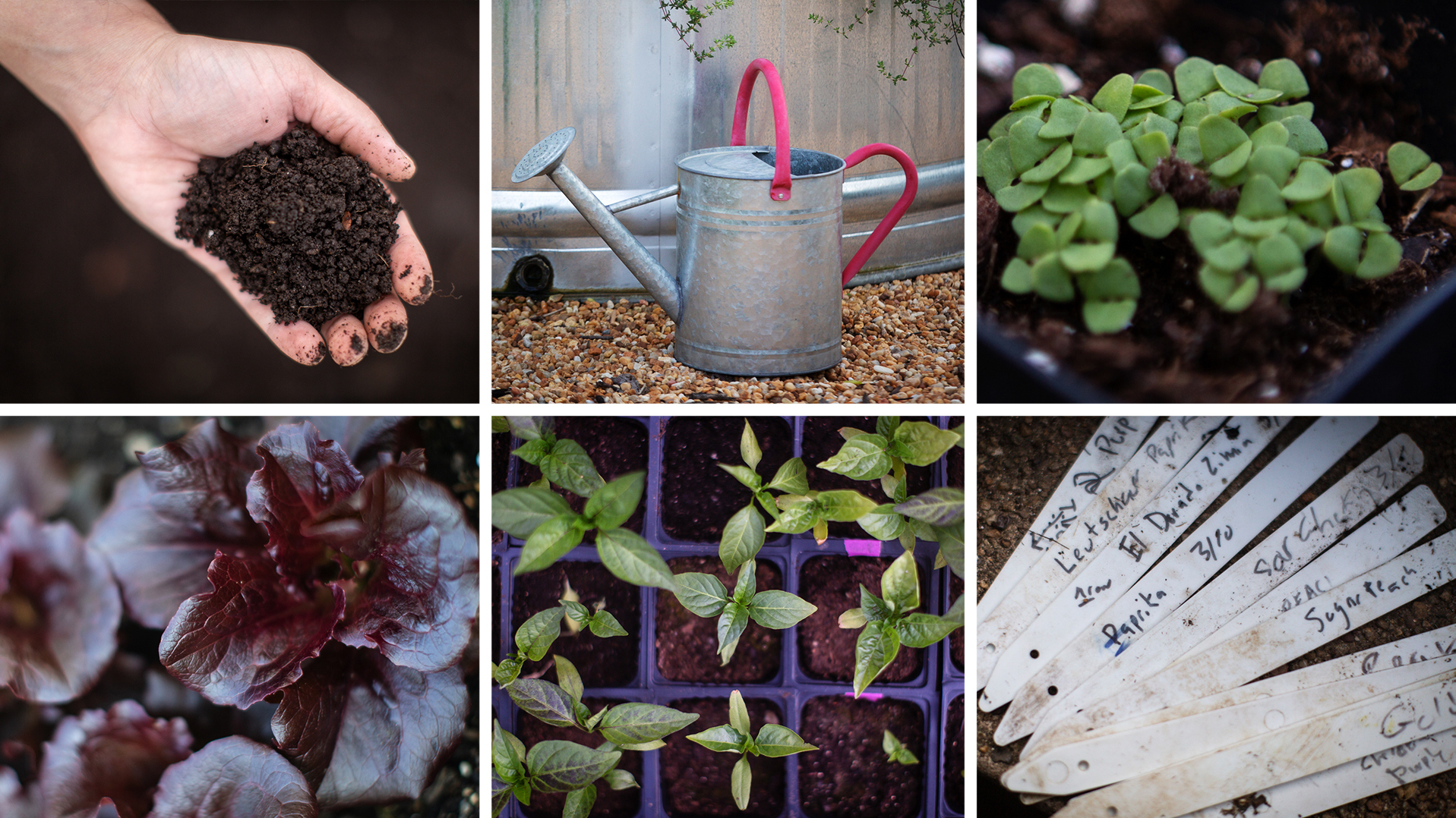 Five tips for how to start a garden, from NPR's Life Kit.