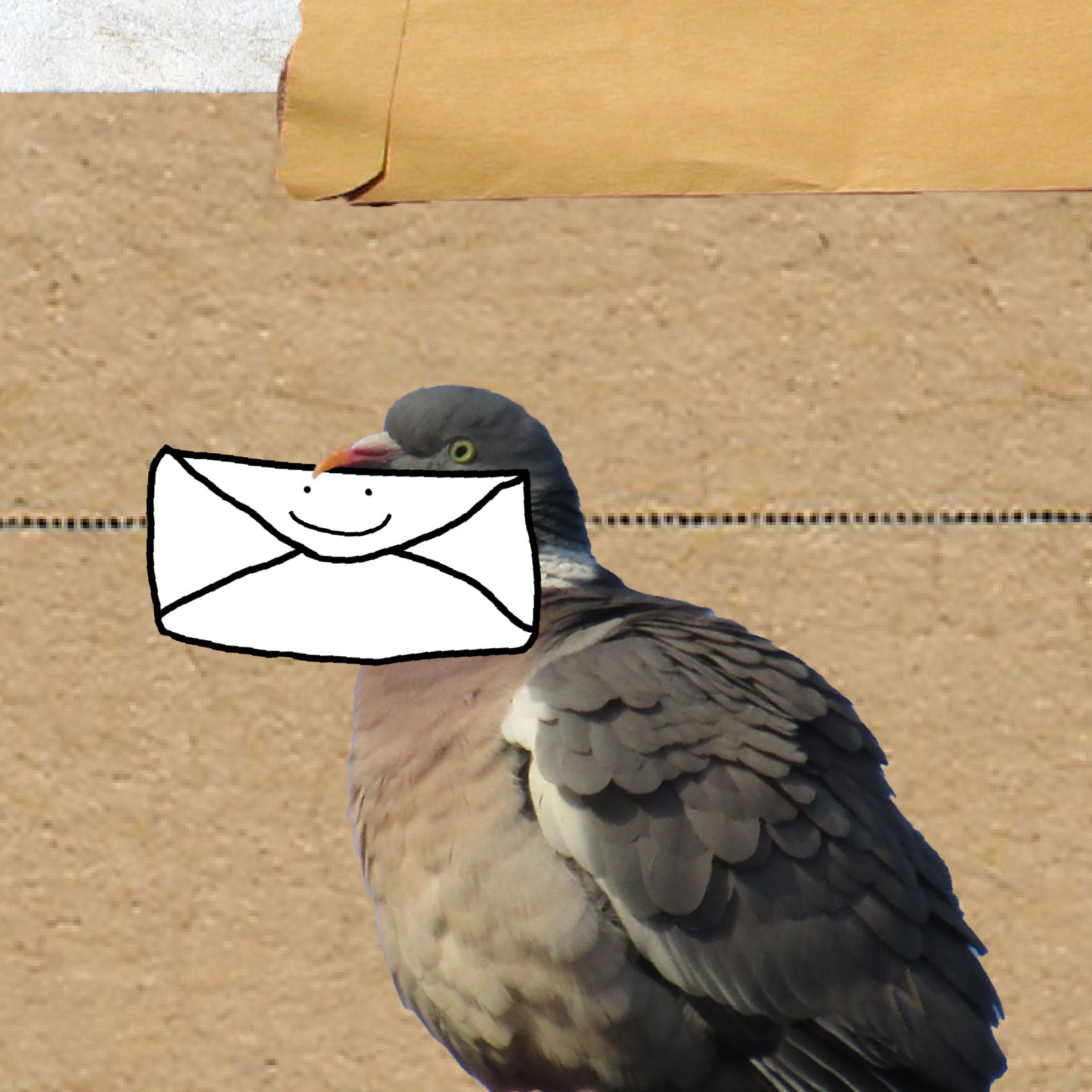 The words "Dear" in cursive over the Life Kit logo. A pigeon sits on the Life Kit logo holding an envelope in its mouth. The frame is surrounded by a collage of letters, paper and stamps.