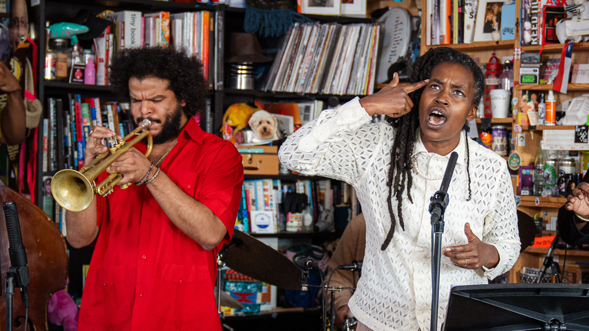 Irreversible Entanglements: Tiny Desk Concert