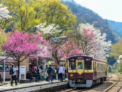 地域活性化の起点に！道の駅が果たす経済的・社会的役割