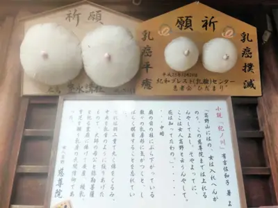 「乳房型の絵馬」で育児と健康を祈願する慈尊院【和歌山県九度山町】