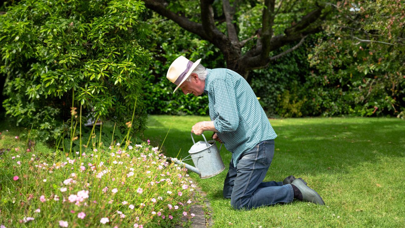 Older male gardening.