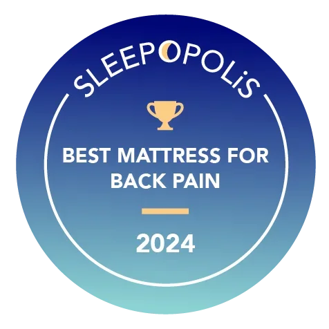 Best Mattress For Back Pain