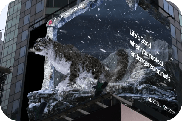 snow leopard