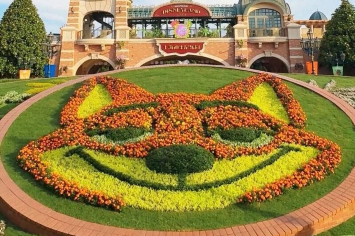 A flower bed in the shape of a smiling cat face greets visitors at the entrance labeled "Disneyland," with a red brick and stone structure in the background, bringing to mind Nick Wilde's clever grin.