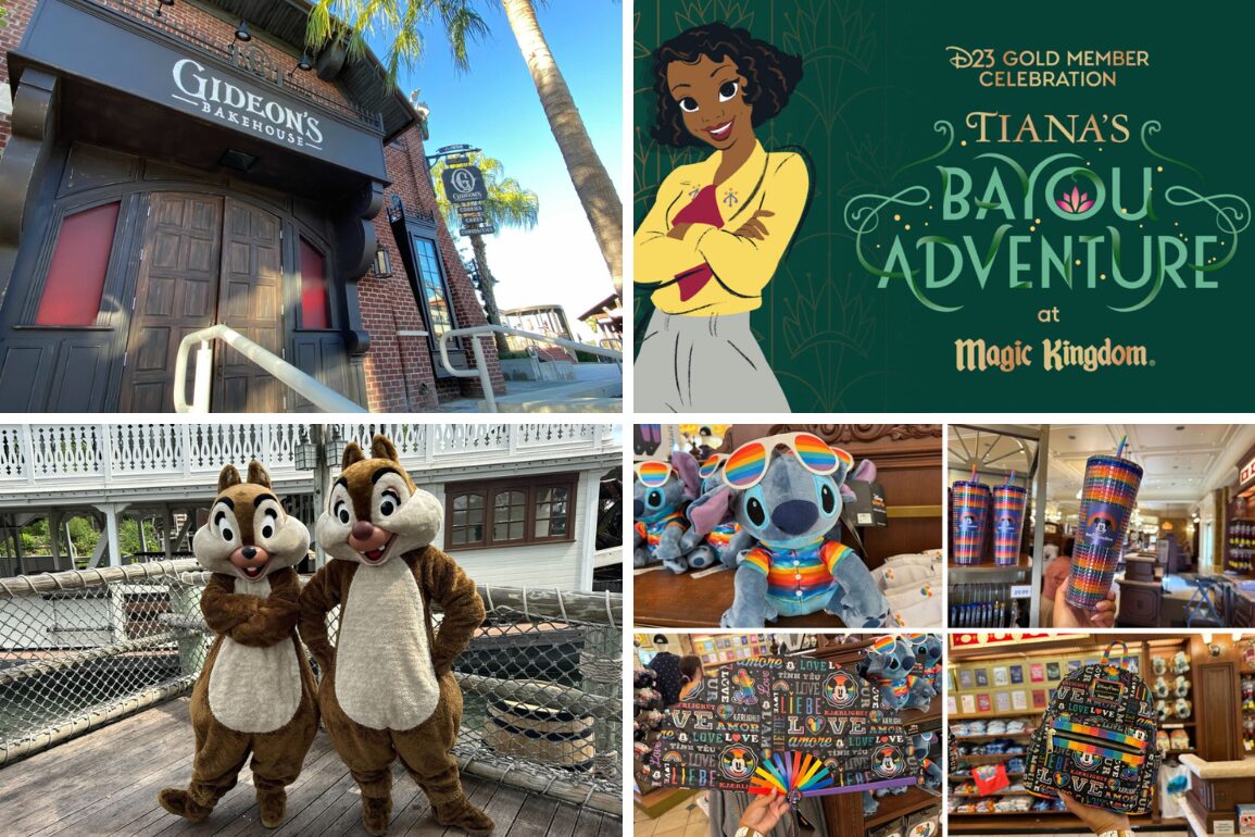 A daily recap of themed attractions: Gideon's book store, "Tiana’s Bayou Adventure" sign, Chip 'n' Dale characters, and colorful souvenirs in a shop.