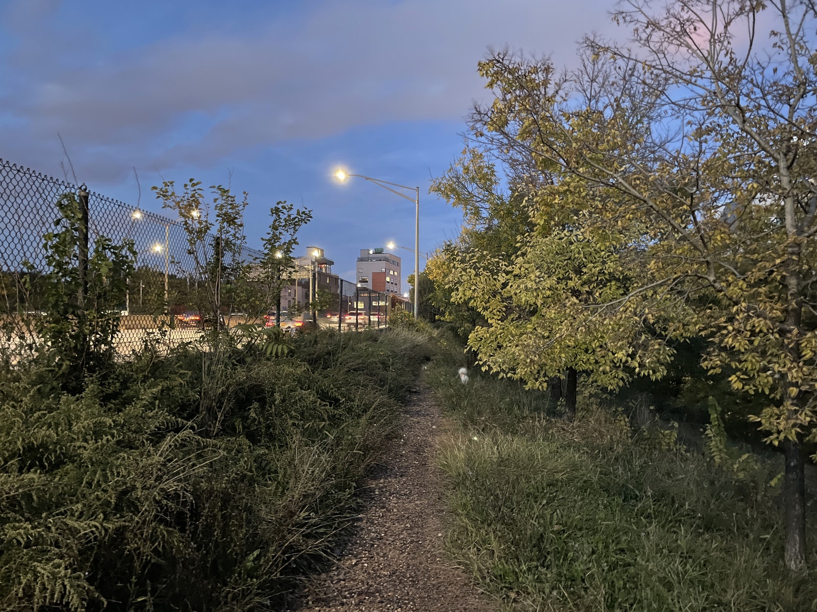 Image may contain Gravel Dirt Road Road Ground Plant and Tree