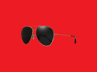 Hump Optics Whisky Tango Sunglasses