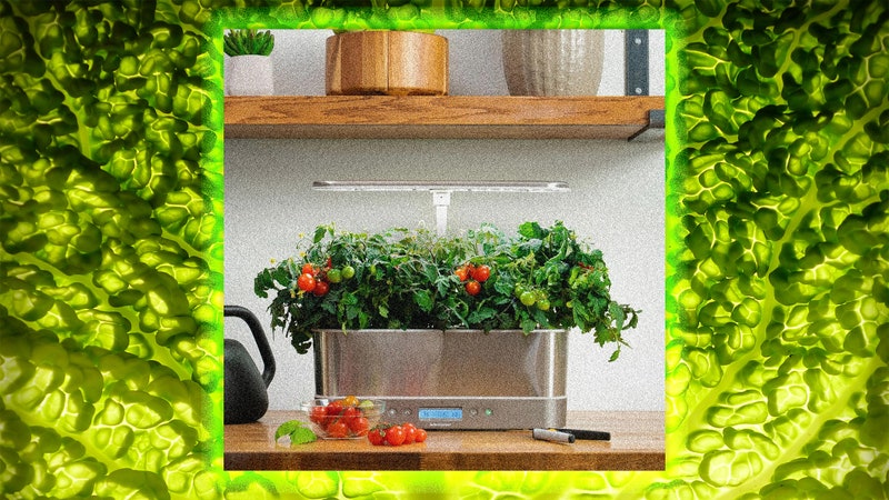 AeroGarden, a Pandemic-Era Phenomenon, Is No More. What Happens Next?