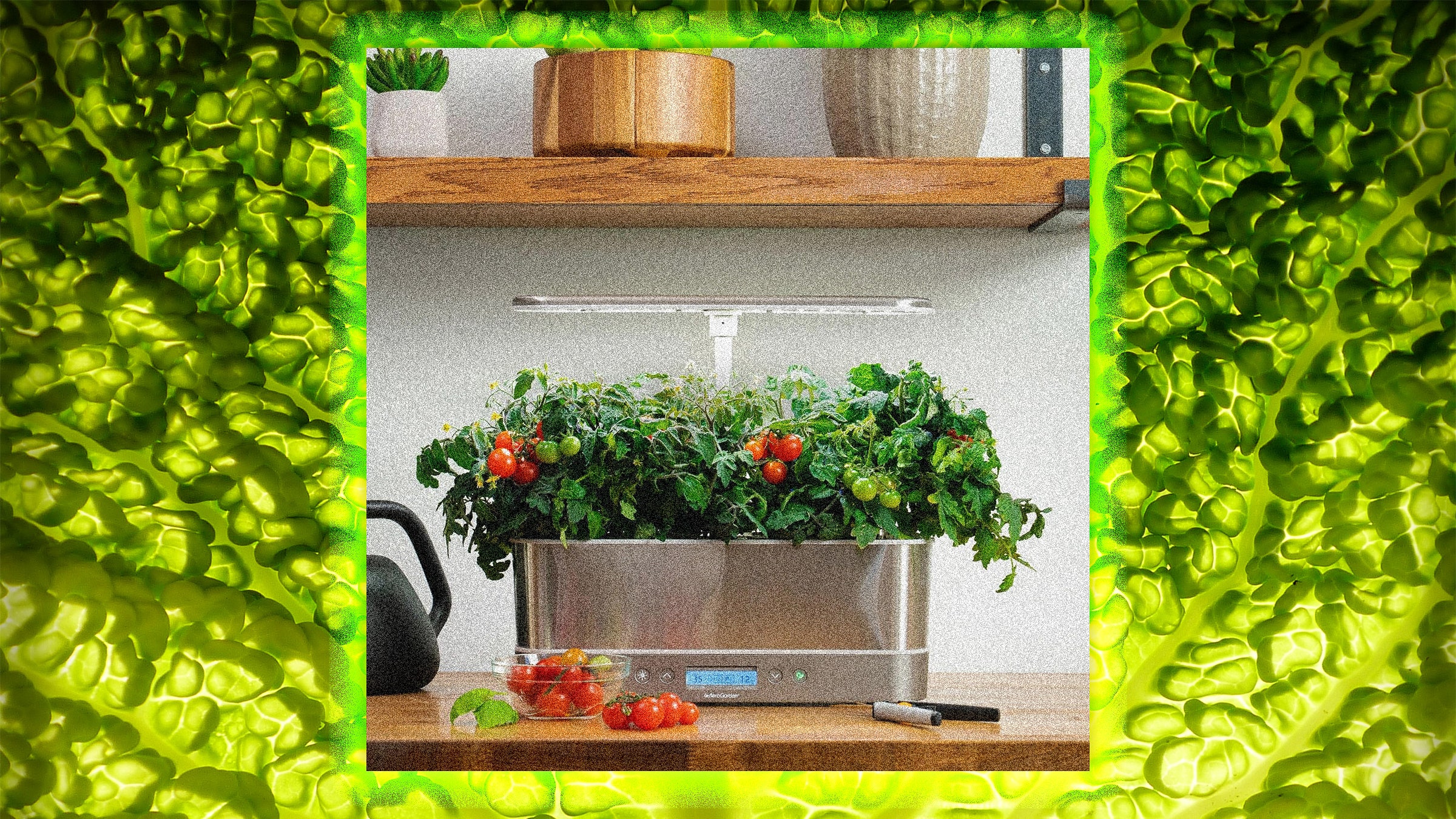 AeroGarden a PandemicEra Phenomenon Is No More. What Happens Next