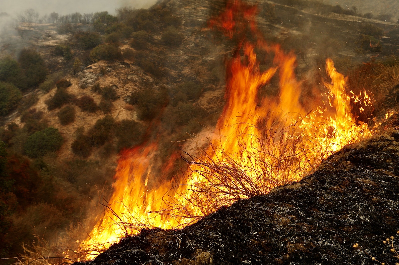 Wildfire Smoke Is Even More Dangerous Than Anyone Knew