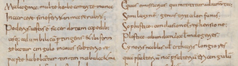 Leiden, Universiteitsbibliotheek, VLQ MS 69, fol. 24v, detail