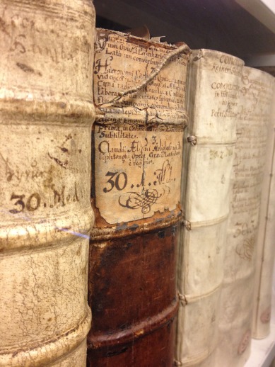 Shelf in the Wolfenbüttel, Herzog August Bibliothek