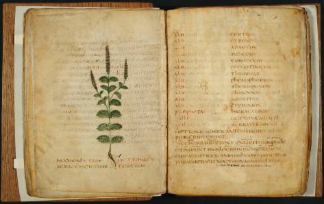 Leiden, Universiteitsbibliotheek, VLQ MS 9 (Italy, 550-600)