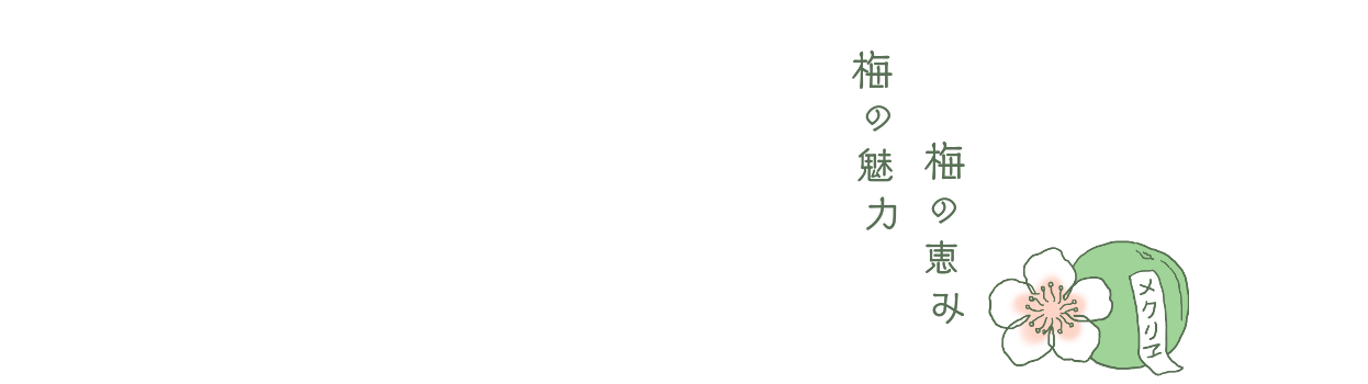 ～メクリヱ～ 梅が香のめくる恵みのめじろおし